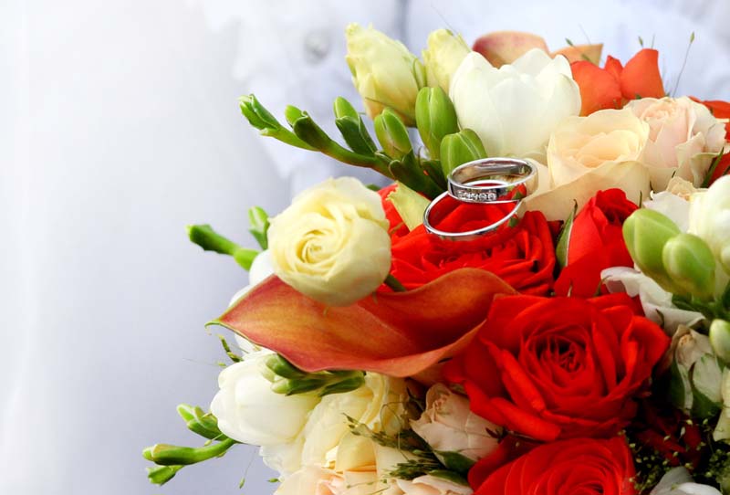 свадебная фотосессия в подарок